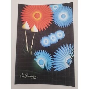 Ciaran Shaman " Orion Flowers " signed‎ blotter art print